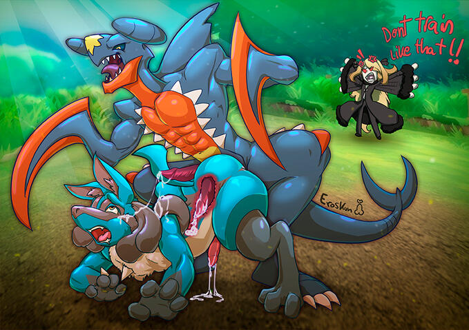 Lucario Garchomp